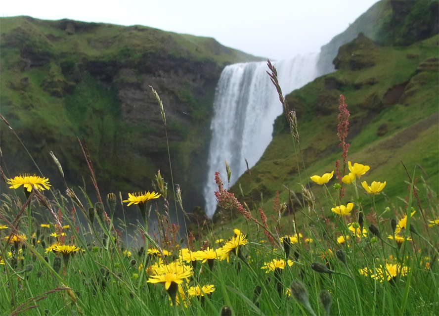 Am Skogafoss
